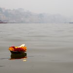 Photo taken by Kristy P