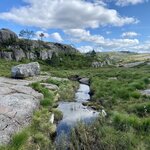 Photo taken by Daniel Q