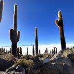 Photo taken by Mai S