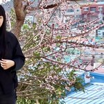 Photo taken by John K