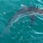 Photo taken by Kolla S