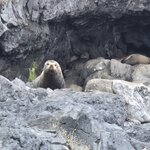 Photo taken by Ruth R