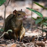 Photo taken by Matt W