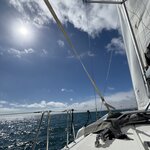 Photo taken by Shelley H