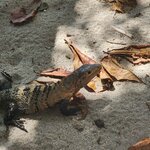 Photo taken by Ram R