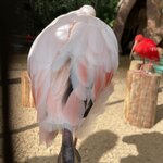 Photo taken by Graciela P