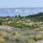 Photo taken by Nancy A