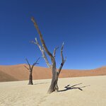 Photo taken by Joaquin M