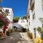 Photo taken by Wayne Z