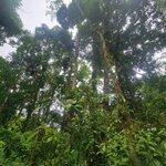 Photo taken by Darla D