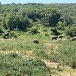 Photo taken by Christopher F