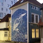 Photo taken by Sara L