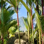 Photo taken by Robin W