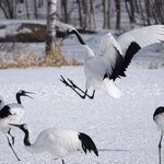 Photo taken by Iain M