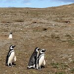 Photo taken by Rahul S