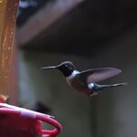 Photo taken by Mary D