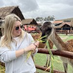 Photo taken by joy w