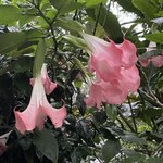 Photo taken by Alexia M