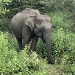 Photo taken by Garth R