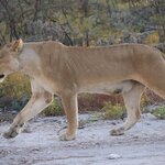 Photo taken by Joaquin M