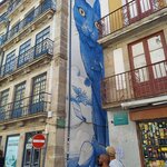 Photo taken by Mollie D