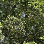 Photo taken by Carrie N