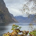 Photo taken by Susan H