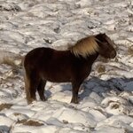 Photo taken by Laura O