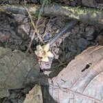 Photo taken by Jacob S