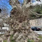 Photo taken by Jim M