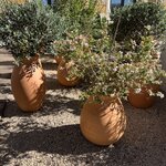 Photo taken by Deborah S