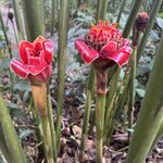 Photo taken by Jaya C