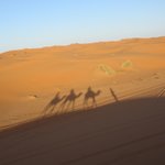 Photo taken by Karyn J