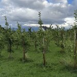 Photo taken by Lara N