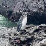 Photo taken by Lindsey F