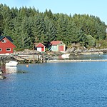Fjord cruise | Photo taken by Roberta R