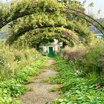 Photo taken by Beatrix P