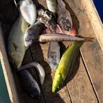 Photo taken by Susan & Bob M