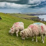 Photo taken by Peter B