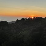 Photo taken by Matt P