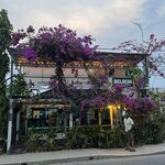 Photo taken by Cynthia C