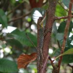 Photo taken by Randall C