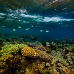 Photo taken by Nicholas P