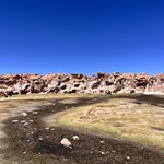 Photo taken by Shirley S