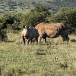 Photo taken by Martin D