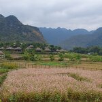 Photo taken by Bianca C