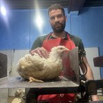 Photo taken by Timothy R