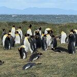 Photo taken by Marcia R