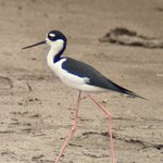 Photo taken by Bonnie Y