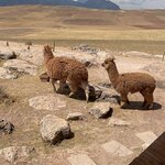 Photo taken by Shanthi V